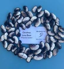 Image result for Phaseolus lunatus