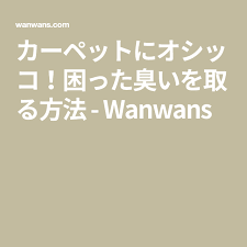 カーペットにオシッコ 困った臭いを取る方法 wanwans 重曹 掃除 カーペット オキシドール