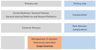 Your primary care provider is the person you choose to be your partner in health—be it for regular, preventive care or as your first contact for any medical problem or mental health concern. Provision Of Primary Care By Specialist Physicians A Systematic Review Family Medicine And Community Health