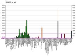 mesothelioma treatment patients may also try experimental treatment of mesothelioma through clinical trials. Osteopontin Wikipedia