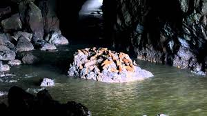 Just four hours from portland, the sea lion caves features the largest sea cave in the world and an opportunity to see not only sea lions, but scores of other wildlife getting there: Sea Lion Cave Florence Oregon Youtube