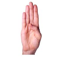 Letter b song.this alphabet song will help your children learn letter recognition and the sign language for the letter b. Signs Beginning With The Letter B