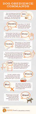 Check spelling or type a new query. How To Teach Your Dog Obedience Commands Caninejournal Com