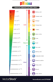 Ph Scale Universal Indicator Ph Color Chart Vector Image