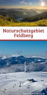Naturschutzgebiet Feldberg Feldberg Naturschutzgebiet Hochschwarzwald