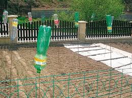 Image result for plašič krtků z pet lahve