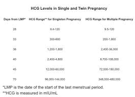 6 Weeks With Twins Hcg Levels November 2015 Babycenter