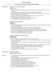 branch sales manager resume samples