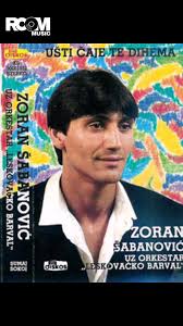 Anela Mujic Sabanovic