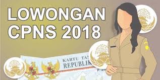 257 Ribu Pelamar Cpns 2018 Belum Terverifikasi Apa Kendalanya Pendidikan Membaca Pemerintah