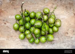 Image result for Melicoccus