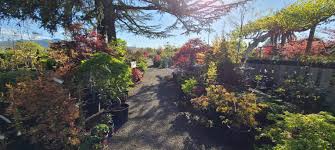 Maybe you would like to learn more about one of these? Southern Oregon Nursery Home Facebook