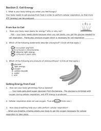 We did not find results for: Study Guide Key
