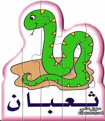 Pin On أفكار