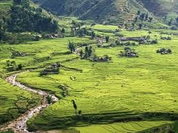 Rice Fields In Sapa Region North Vietnam Vietnam Indochina Southeast Asia Asia Photographic Print Art Com Vietnam Travel North Vietnam Mountain Town