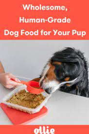 Feeding Your Dog Healthy And Wholesome Food Is One Of The Best Ways To Show Your Love That Doesn T Mean It Has To B Dog Food Recipes Human Grade Dog Food