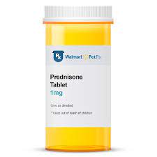 Prednisone Tablet Free 2 Day Shipping Walmartpetrx Com