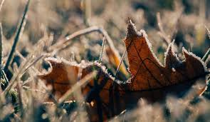 Meteorologii anunţă ninsori, vânt puternic şi maxime care nu vor mai depăşi 2 grade. EchinocÅ£iul De ToamnÄ 2018 NopÅ£ile Devin Mai Lungi Cand Se Trece La Ora De IarnÄ