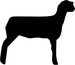 Go Back Images For Show Sheep Silhouette Sheep Silhouette Showing Livestock Pig Silhouette
