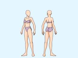 Draw 2 horizontal lines just below the chin to mark the shoulders and the chest. How To Draw A Body 14 Steps With Pictures Wikihow