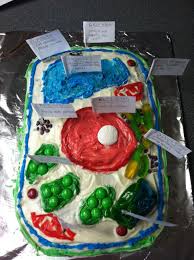 Pin By Kathy Elrod On Misc Cell Model Plant Cell Model Plant Cell Cake