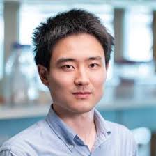 Postdoctoral Fellows