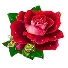 Картинки по запросу картинки анимация мышки благодарю