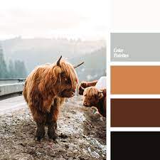 Check spelling or type a new query. Color Palette 4155 Color Palette Ideas Silver Color Palette Color Palette Color Palette Bright