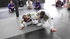 Lumberjack Sweeps Brazilian Jiu Jitsu Purple Belt Jiu Jitsu Brazilian Jiu Jitsu Belt