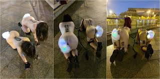 Twitterトップの調教Sマスター「街灯さん」、尻尾を詰めた無邪気なドMを野外露出、38度の猛暑の中犬の散歩、男も犬も汗だく、聖水浴び(1)