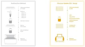 What does 2dg6p stand for? Glucose Uptake Glo Assay From Promega Corporation Get Quote Rfq Price Or Buy