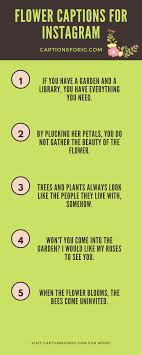 Flowers always make people better, happier and more helpful; 26 Sweet Instagram Captions For Flowers Captions For Ig