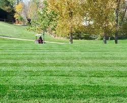 3 best lawn care services in hamilton, on expert recommended top 3 lawn care services in hamilton, on. Landscaping Services Hamilton Ontario Ca Yard And Garden Services Hamilton
