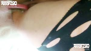 DevoteHuendin of artofzoo - Zoo sex porn - Zoosexnet