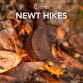 Newt Hikes 2026 event image