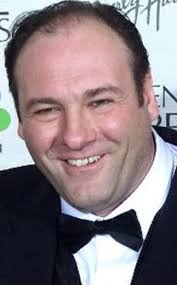 James Gandolfini was an American actor. He was best known for his portrayal  of Tony Soprano, the Italian-American Mafia crime boss in HBO's television  series The Sopranos. For this role, he won