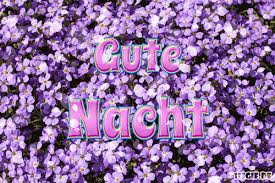 1273 bilder auf 48 seite(n). Kostenlose Gute Nacht Bilder Gifs Grafiken Cliparts Anigifs Images Animationen