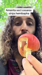 Josh Wayne (@healthyforager)’s videos with original sound