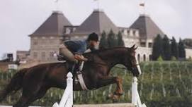 The Triple Crown Series