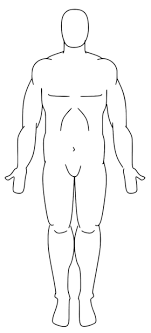Blank anatomical position diagram human body anatomy. Introduction To Regional Anatomy Lesson 1 Wikiversity