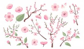 Apple blossom apple blossom apple flower flower blossom flower floral decoration background decorative nature plant ornate decor spring shutterstock.com 10% off on monthly subscription plans with coupon code afd10. Free Apple Blossom Vectors 400 Images In Ai Eps Format