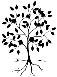 Try to search more transparent images related to tree roots png |. Svg Owls Tree Root Leaves Free Svg Image Icon Svg Silh