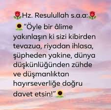 Felsefi Panosundaki Pin