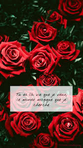 Roses With French Quote Wallpaper French Wallpaper Pink Wallpaper Quotes Wallpaper Quotes
