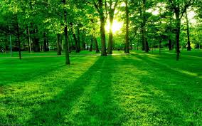 Best collection of full hd wallpapers backgrounds for desktop pc, windows. Nature Laptop Wallpapers Top Free Nature Laptop Backgrounds Wallpaperaccess