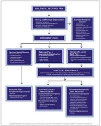 Image result for Low Back Pain Management