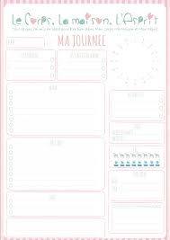 Feuille D Activite Quotidienne Pour L Agenda De Filofax Budget Imprimable Filofax Organisation Budgetaire