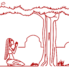 Vat purnima vrat 2021 puja vidhi time: Vat Purnima Vrat 2021 Date Time Puja Rituals And Story