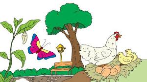 We did not find results for: Kunci Jawaban Kelas 3 Sd Tema 1 Halaman 125 126 128 129 130 Subtema 3 Daur Hidup Kupu Kupu Tribunnews Com Mobile