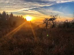 Record-setting highs could be reached over weekend